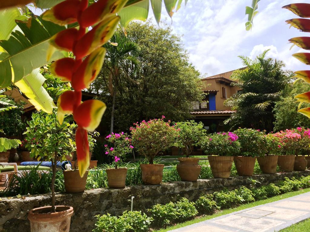 Orchidelirium Casa Hotel & Salud Estetica Cuernavaca Rom bilde